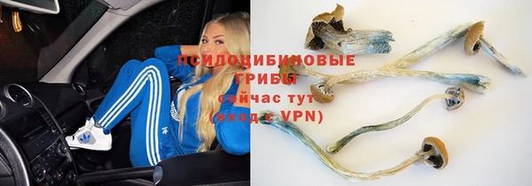 ешки Армянск