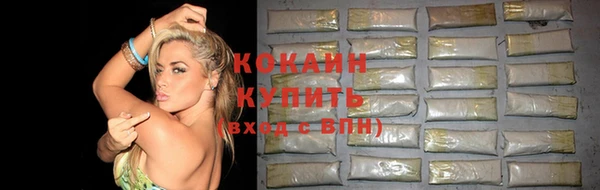 тгк Арсеньев