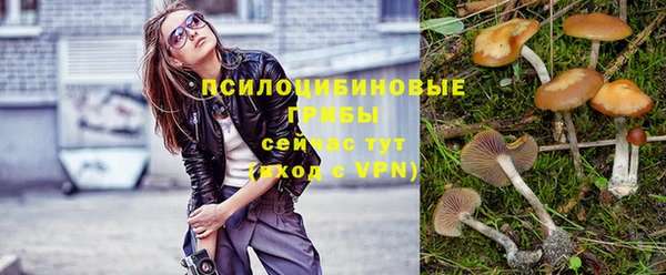 ешки Армянск