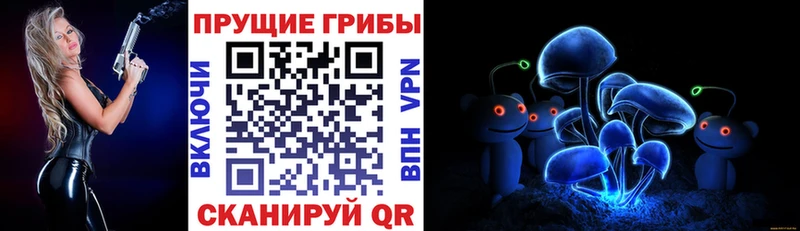 где купить наркотик  Новоуральск  Галлюциногенные грибы MAGIC MUSHROOMS 